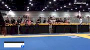 NICK ALAN SCHROCK vs DIOGO SILVEIRA DO NASCIMENTO 2019 World Master IBJJF Jiu-Jitsu Championship