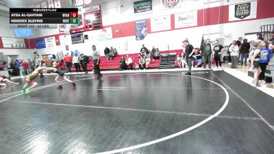 64 lbs Rr Rnd 3 - Aysa Al-Qahtani, Wyandotte Youth Wrestling vs Hendrix Blevins, Northeast Take Down Club