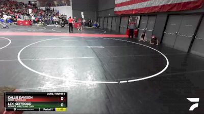 115 lbs Cons. Round 5 - Callie Davison, WYSO- Waterloo vs Lexi Seffrood, Monroe Wrestling Club