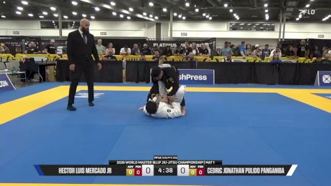 Cedric Jonathan Pulido Panganiba vs Hector Luis Mercado Jr 2026 World Master IBJJF Jiu-Jitsu Championship