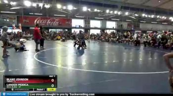85 lbs Round 2 (8 Team) - Blake Johnson, TNWCC vs Landen Modica, NOLA Black