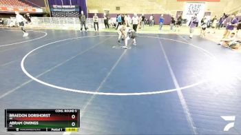 138 lbs Cons. Round 5 - Abram Owings, KS vs Braedon Dorshorst, WI