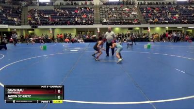 105 lbs Semifinal - Jaxon Schultz, THWC vs Gavin Rau, New Prague