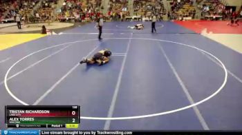 138 lbs Champ. Round 1 - Tristan Richardson, Lake City vs Alex Torres, Waconia