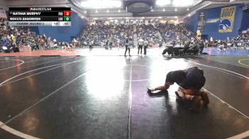 165 lbs Champ. Round 2 - Nathan Murphy, Parkersburg South vs Rocco Zagorites, Loudon County