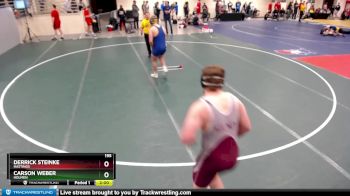195 lbs Champ. Round 1 - Derrick Steinke, Hastings vs Carson Weber, Holmen