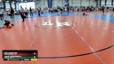 88 lbs Rd# 6- 9:00am Saturday Final Pool - David Quintanilla, Florida Elite vs Ace Hamilton, Maryland GOLD