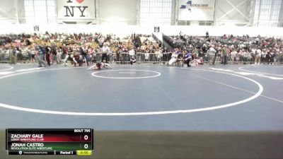 61 lbs Cons. Semi - Jonah Castro, Revolution Elite Wrestling vs Zachary Gale, LeRoy Wrestling Club