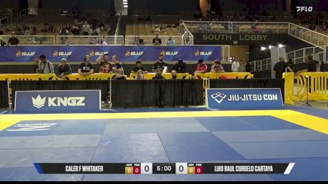 Luis Raul Curbelo Cartaya vs Caleb F Whitaker 2026 Pan Jiu Jitsu IBJJF Championship