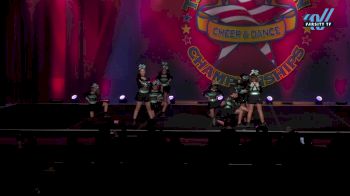 Rebels Elite - Rioters [2024 L2 Junior - D2 - Small - A Day 2] 2024 The American Masterpiece San Jose National