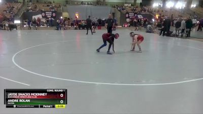 95 lbs Cons. Round 1 - Jayde Snacks McKinney, Buccaneer Wrestling Club vs Andre Rolan, Alcoa