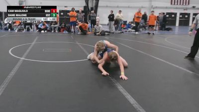 92 lbs Round 4 (6 Team) - Cam Magliulo, Warhawks vs Dane Malone, Revival 2