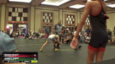 60 lbs Finals (8 Team) - GARRETT KNEPP, Keystone Krush vs Seamus Healey, Yale Street WC