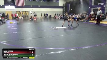 115 lbs Quarterfinal - Ava Hofer, Linn-Mar vs Marlie McBride, Clear Creek-Amana