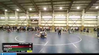 147 lbs Champ. Round 2 - Landon Shumway, Mountain View vs Kyle Palo, Stansbury