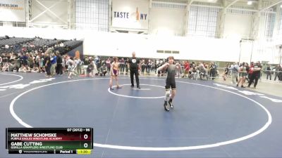 96 lbs Champ. Round 2 - Matthew Schomske, Purple Eagles Wrestling Academy vs Gabe Cutting, Gorilla Grapplers Wrestling Club