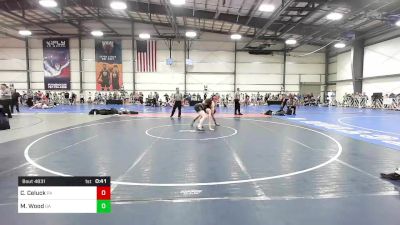 170 lbs Consi Of 32 #2 - Colby Celuck, PA vs Micah Wood, GA