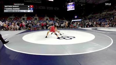 150 lbs Champ. Rd Of 64 - Hudson Hohman, PA vs Armand Williams, FL