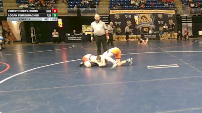 89 lbs Consy 2 - Christopher Liguori, Avon Grove vs Logan Fehrenbacher, Pleasant Valley