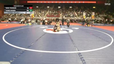 3A-106 lbs Champ. Round 1 - Nick Ticknor, Glenrock vs Gabe Hagen, Wheatland