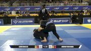 Andrew Ryan Hamel vs Jason Shao Cui 2026 Pan Jiu Jitsu IBJJF Championship