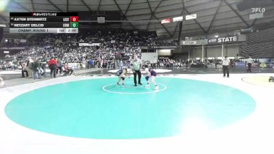 Girls 4A 105 lbs Champ. Round 1 - Axten Steinmetz, Lake Stevens (Girls) vs Netzary Delcid, Chiawana (Girls)