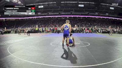 D1-165 lbs Cons. Round 2 - Logan Craft, Lakeview HS (St Clair Shores) vs Andrew White, Detroit Catholic Central HS