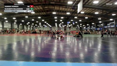 165 lbs Rr Rnd 1 - Hannah Hornick, Wrecking Crew Dream Crushers vs Elizabeth Williamson, Hammer Wrestling Club