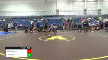 129 lbs Cons. Round 4 - Aden Reyes, Fighting Irish WC vs Austin Gyorkos, Ares