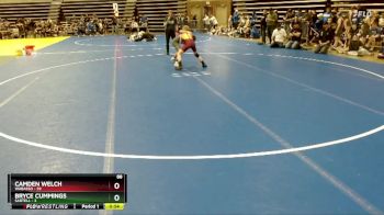 88 lbs Quarterfinals (8 Team) - Camden Welch, Wabasso vs Bryce Cummings, Sartell