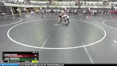 125 lbs Cons. Round 5 - Lane Andersen, Pinnacle Wrestling Club vs Logan Schad, Team Nazar Training Center