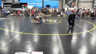 82 lbs Round Of 16 - Tate Richey, White vs Max Moua, Denver