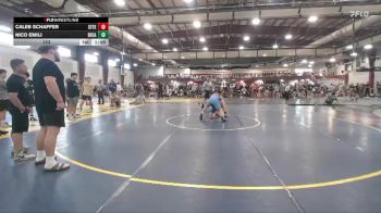 123 lbs Round 3 (12 Team) - Nico Emili, Bethlehem Catholic vs Caleb Schaffer, Steller Trained Fox