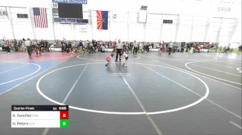 46 lbs Quarterfinal - Hekili Peters, LV Bear Wrestling Club vs Aaron Sanchez, Chain Gang Wrestling