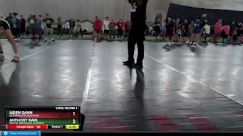 129 lbs Cons. Round 3 - Aiden Gann, Bloomington South WC vs Anthony Bahl, Region Wrestling Academy
