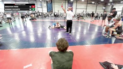 100 lbs Rr Rnd 3 - Brighton Prine, Ohio Gold vs Dominic Picciotti, 4M