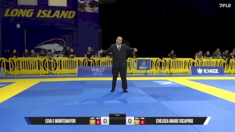 Chelsea Marie DiCaprio vs Elva E Montemayor 2025 Pan IBJJF Jiu-Jitsu No-Gi Championship