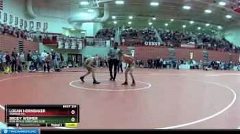 100 lbs Champ. Round 2 - Brody Weimer, Noblesville Wrestling Club vs Logan Hornbaker, Warrior RTC