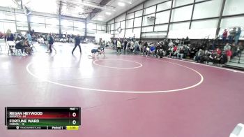 135 lbs Quarterfinal - Fortune Ward, Carbon vs Regan Heywood, Wasatch