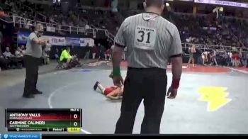 II-102 lbs Cons. Round 5 - Anthony Valls, Chenango Valley vs Carmine Calimeri, Southwestern