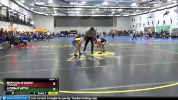 133 lbs Champ. Round 1 - Brandon D`Egidio, Heidelberg vs Morgan Wityk, Toledo