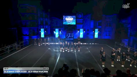 Blue Birds Cheerleader - Blue Birds STARLINGS [2026 U8-0 Day 3] 2026 ELITE Cheerleading Championship