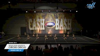 Texas Aces Athletics - Circus Circus [2025 L1 Mini - D2 Day 2] 2025 Cheer Power Cash Bash Showdown Galveston