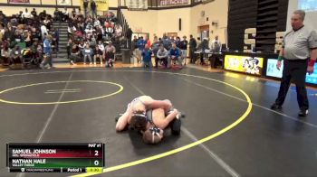 113 lbs Cons. Round 2 - Nathan Hale, Valley Forge vs Samuel Johnson, Hol. Springfield