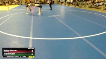 140 lbs Cons. Round 2 - Ethan Herzog, Andover vs Aaren Kulas, Caledonia/Houston