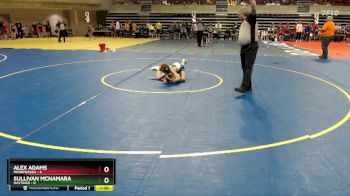 95 lbs Quarterfinals (8 Team) - Alex Adams, Minnewaska vs Sullivan McNamara, Hastings