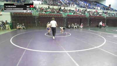 132 lbs Quarterfinal - AJ DeLaCruz, West-Oak vs Landon Cunningham, Swansea