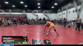 119 lbs Round 3 (8 Team) - Gavin Green, M2 RED (PA) vs Sean Breedlove, Indiana Outlaws