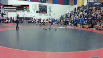 106 lbs Champ. Round 1 - Connor Wallace, Southridge vs Cassius Vickery, Benson