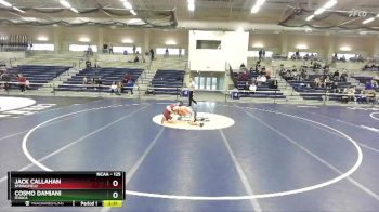 125 lbs Quarterfinal - Jack Callahan, Springfield vs Cosmo Damiani, Ithaca